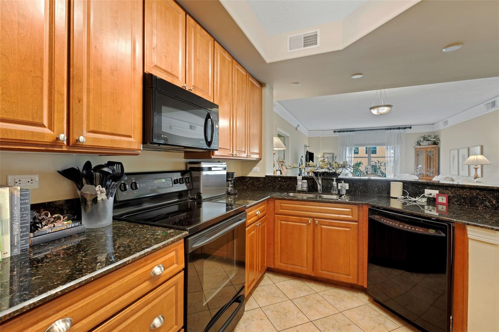 275 BAYSHORE BLVD #408, TAMPA, FL, 33606