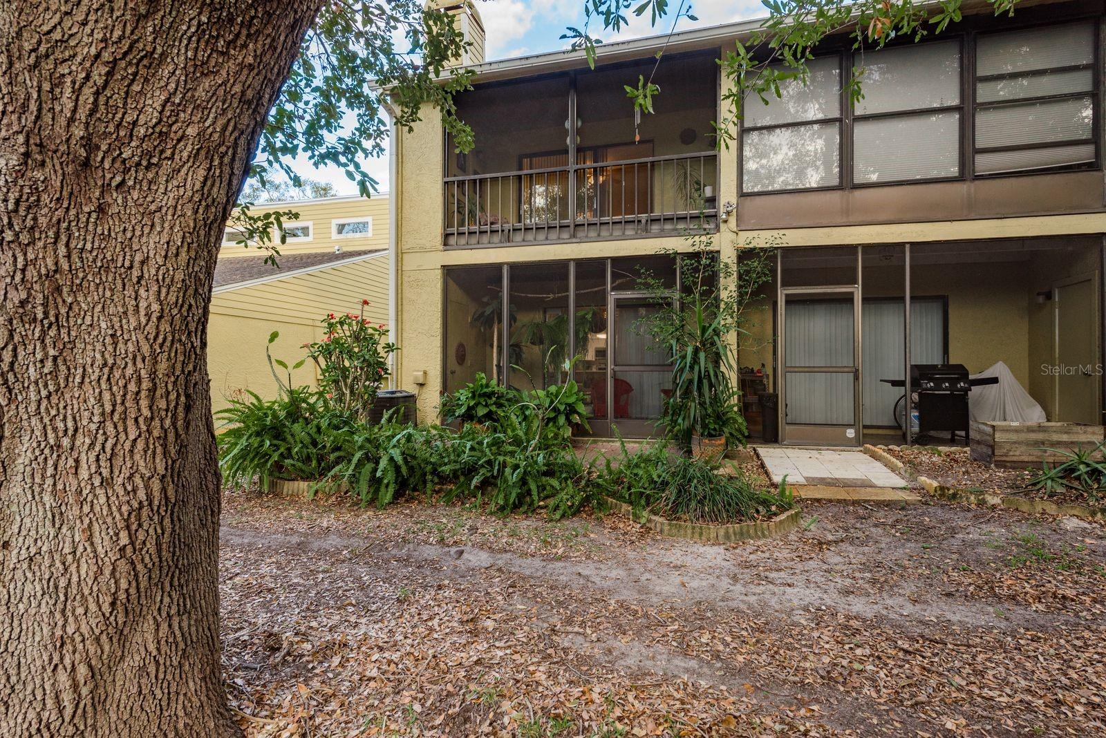 315 SOMERSET LN, PALM HARBOR, FL, 34684