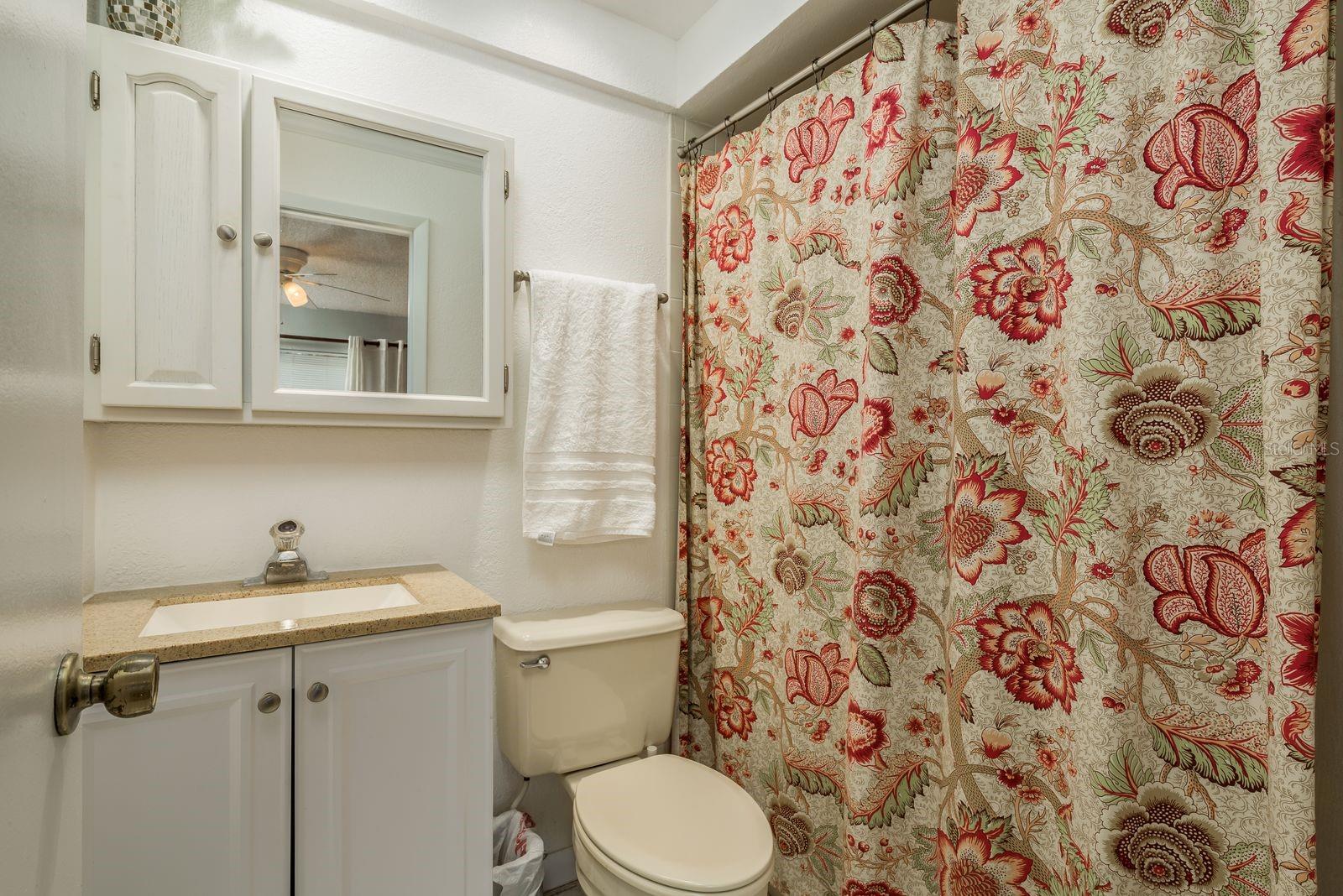 315 SOMERSET LN, PALM HARBOR, FL, 34684