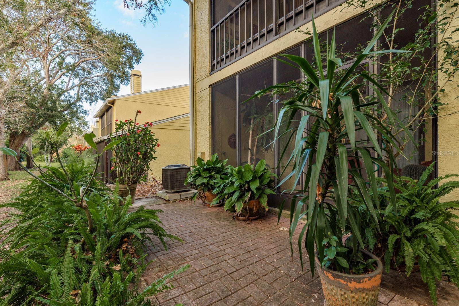 315 SOMERSET LN, PALM HARBOR, FL, 34684