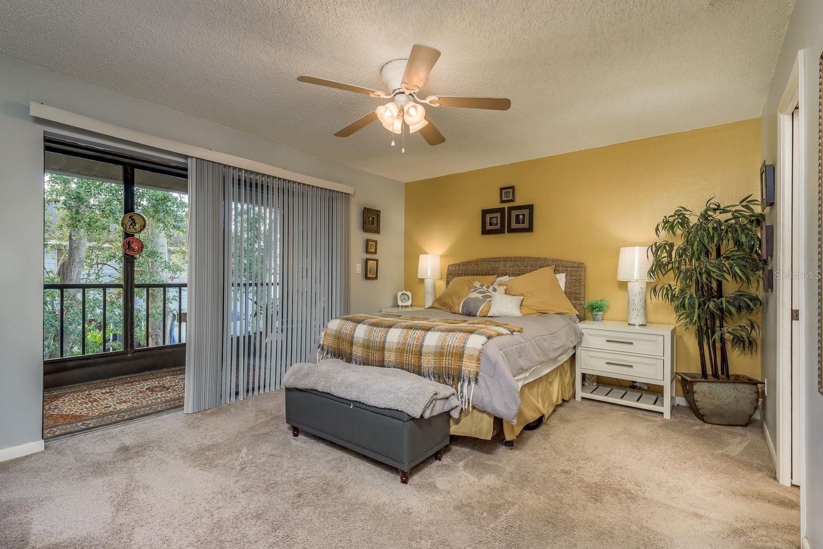 315 SOMERSET LN, PALM HARBOR, FL, 34684