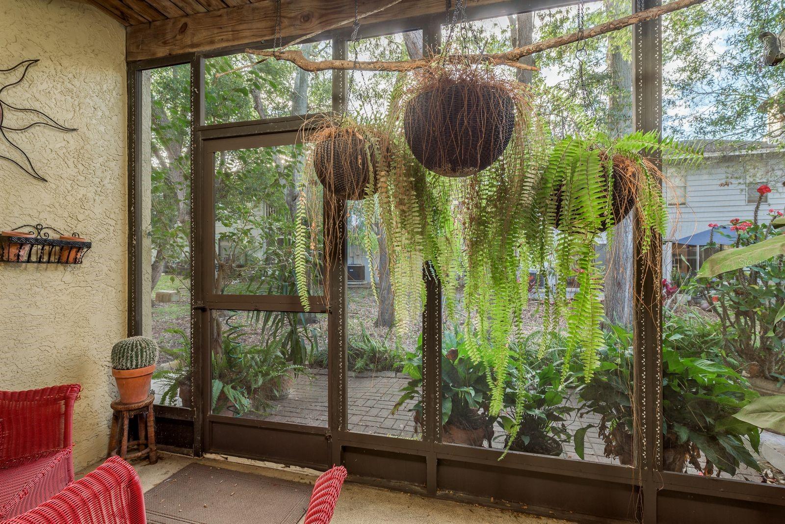 315 SOMERSET LN, PALM HARBOR, FL, 34684