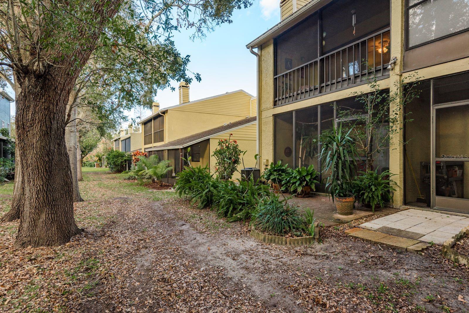 315 SOMERSET LN, PALM HARBOR, FL, 34684