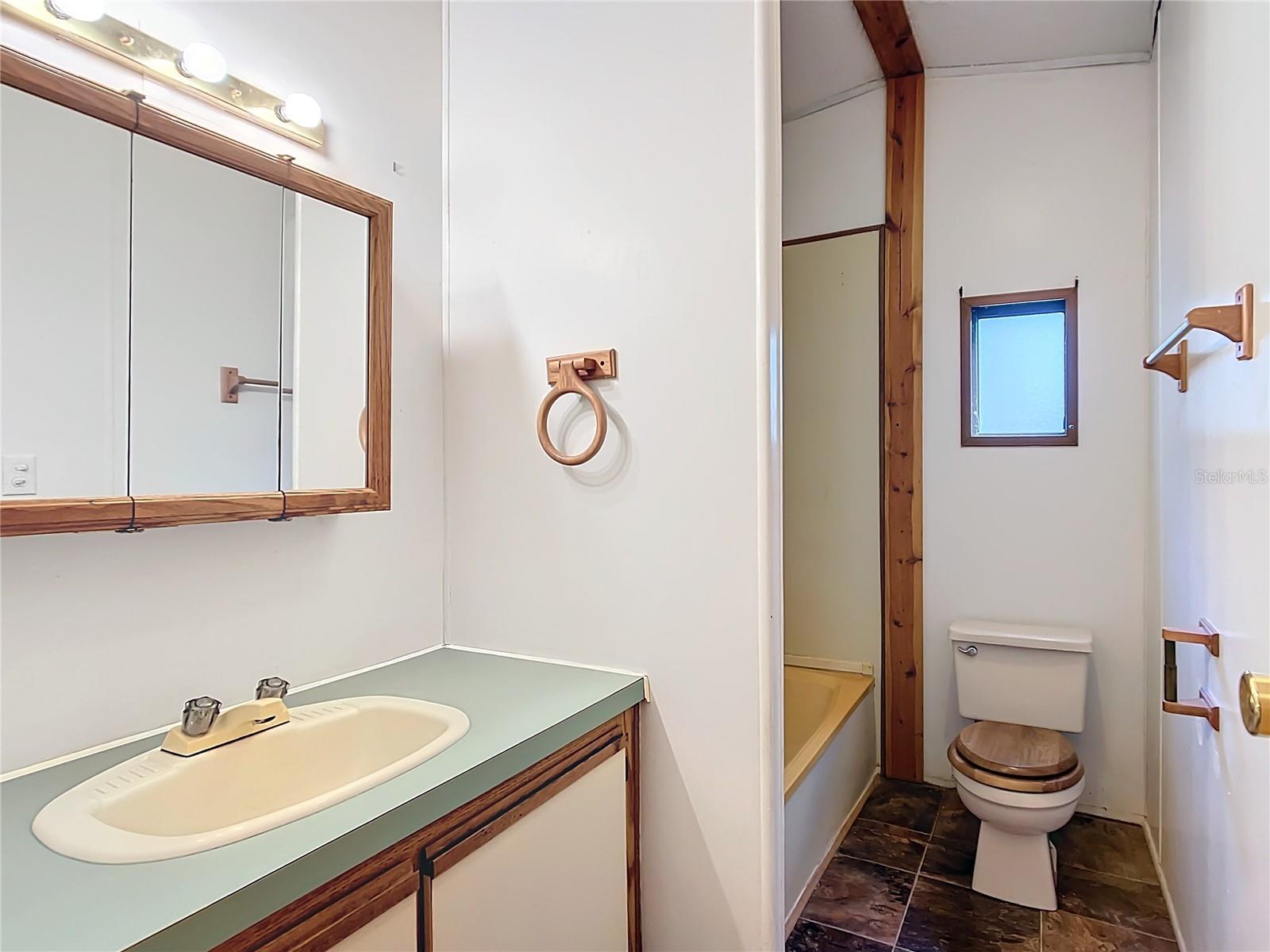17445 SE 11TH ST, SILVER SPRINGS, FL, 34488