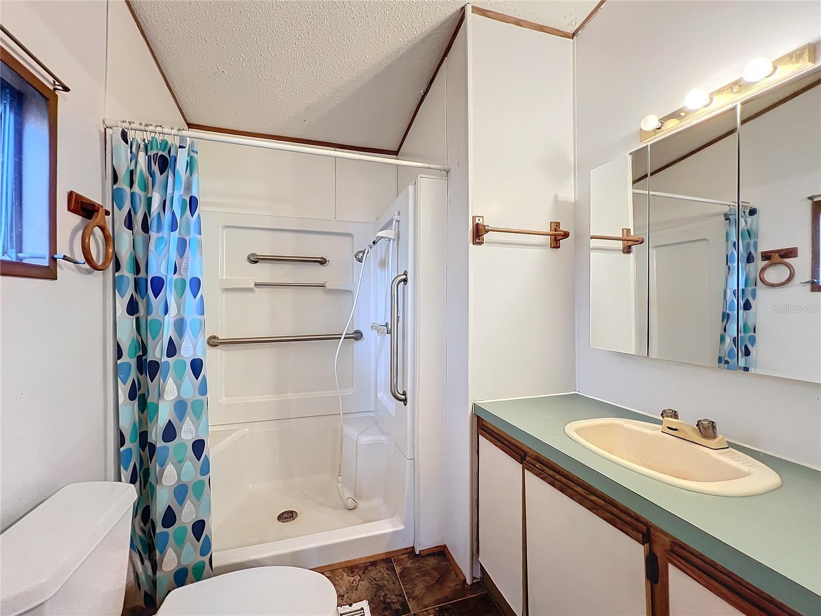 17445 SE 11TH ST, SILVER SPRINGS, FL, 34488