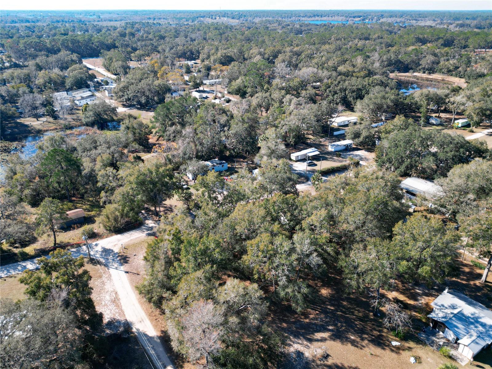 17445 SE 11TH ST, SILVER SPRINGS, FL, 34488