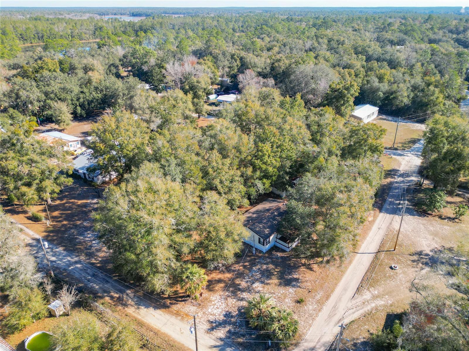 17445 SE 11TH ST, SILVER SPRINGS, FL, 34488