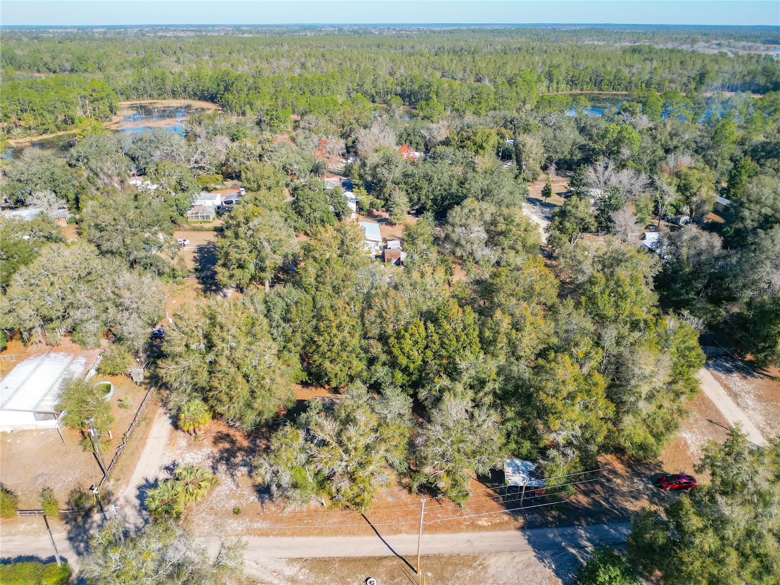 17445 SE 11TH ST, SILVER SPRINGS, FL, 34488