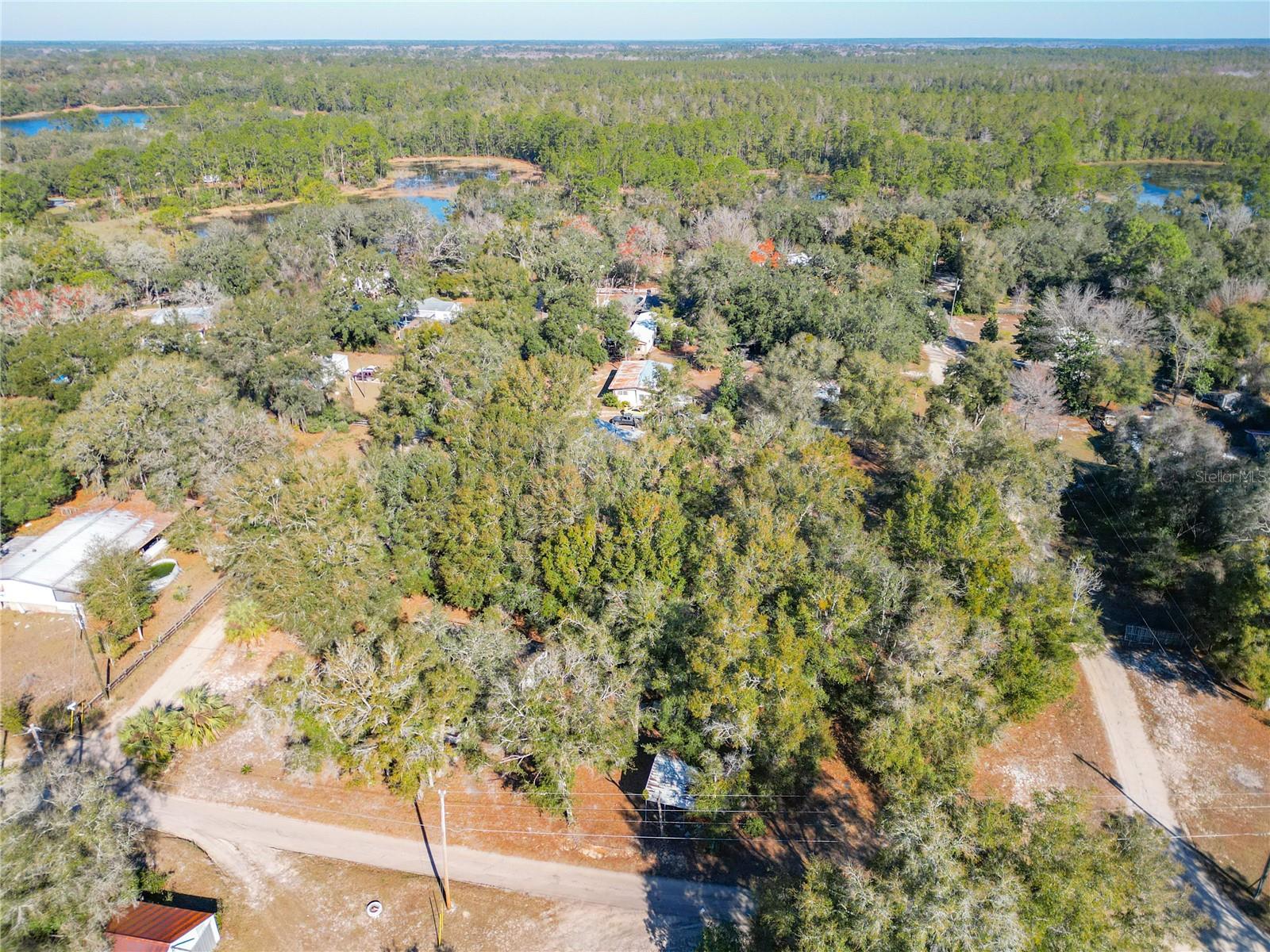 17445 SE 11TH ST, SILVER SPRINGS, FL, 34488