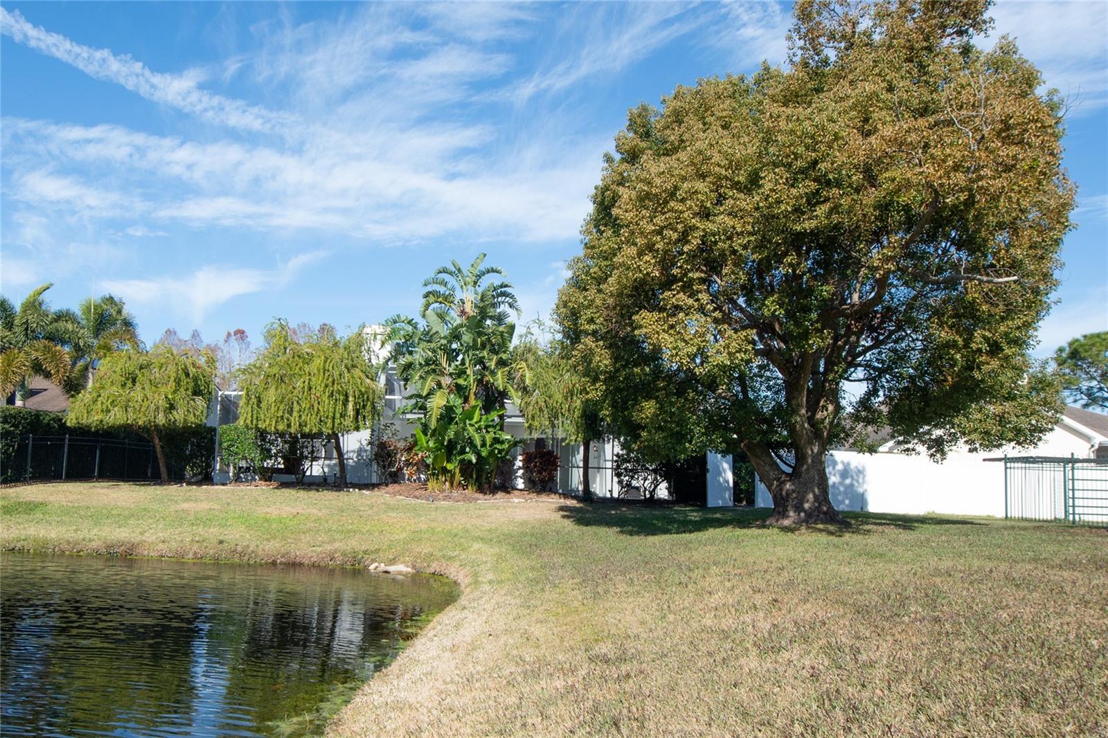 1342 DAVENPORT DR, NEW PORT RICHEY, FL, 34655
