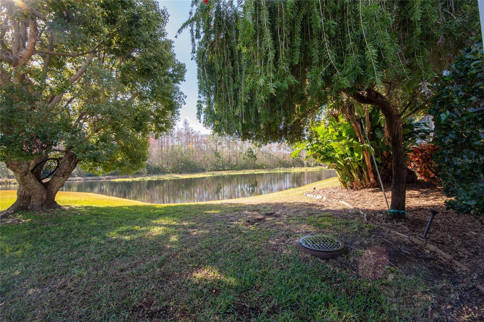 1342 DAVENPORT DR, NEW PORT RICHEY, FL, 34655