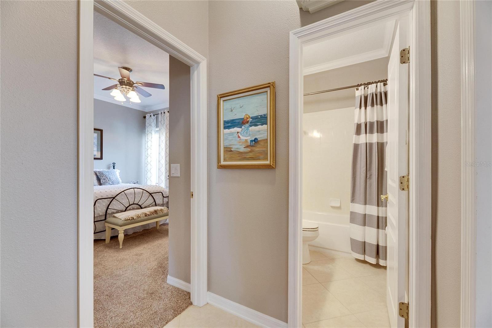 5253 BRIGHTON SHORE DR, APOLLO BEACH, FL, 33572