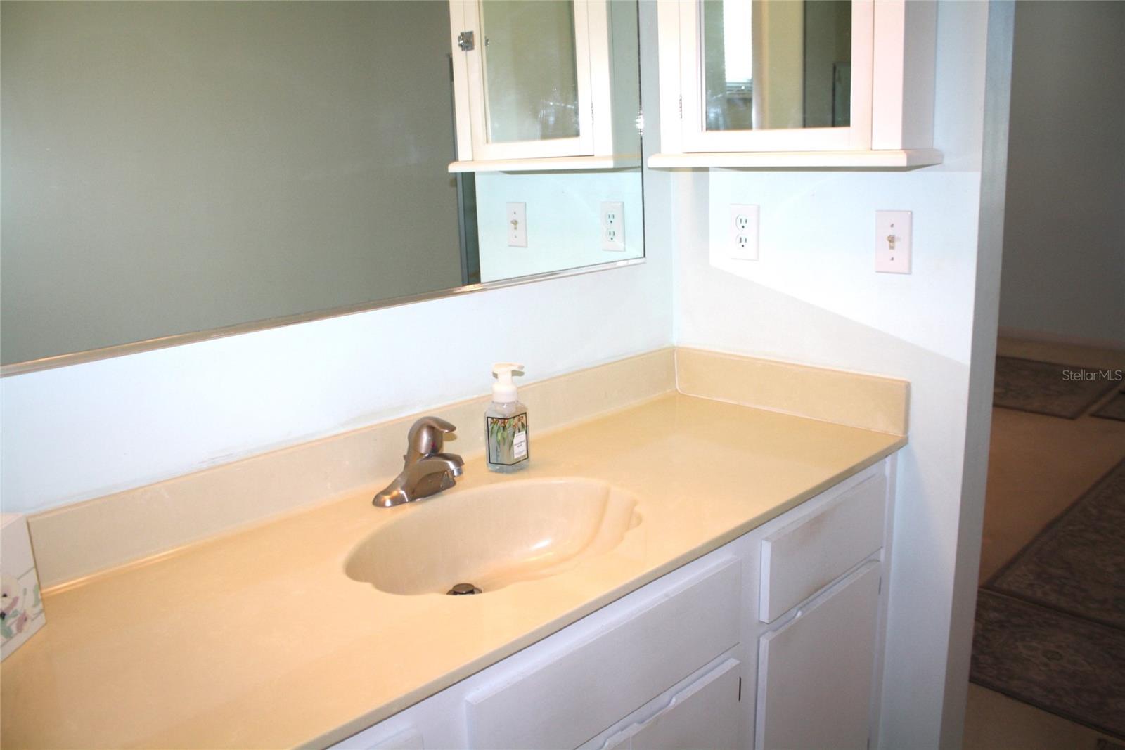 8667 SW 108TH PL, OCALA, FL, 34481