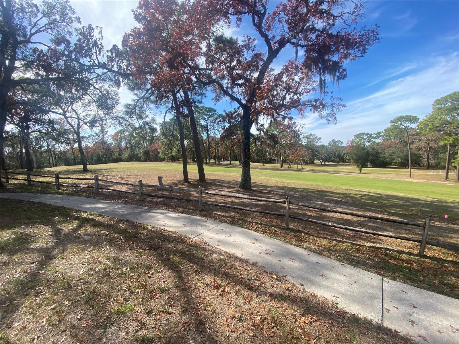 9454 NAKOMA WAY #9454, WEEKI WACHEE, FL, 34613