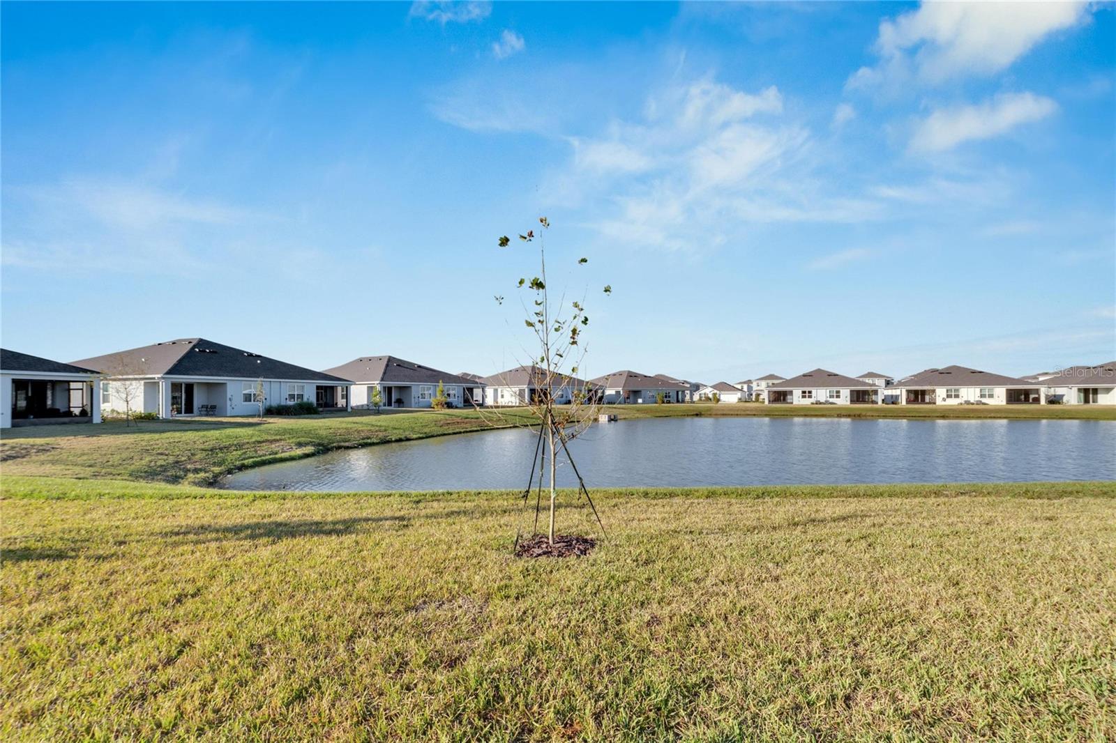 3329 SHADY SUNRISE LOOP, PLANT CITY, FL, 33565