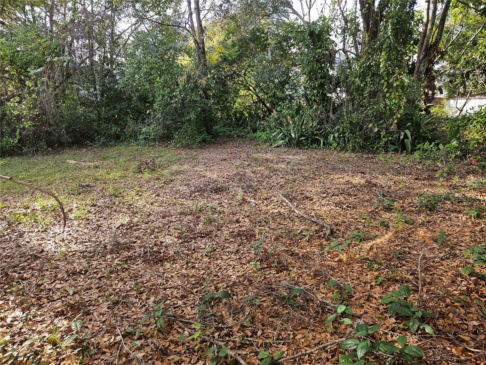 116 S GLENWOOD AVE, ORLANDO, FL, 32803