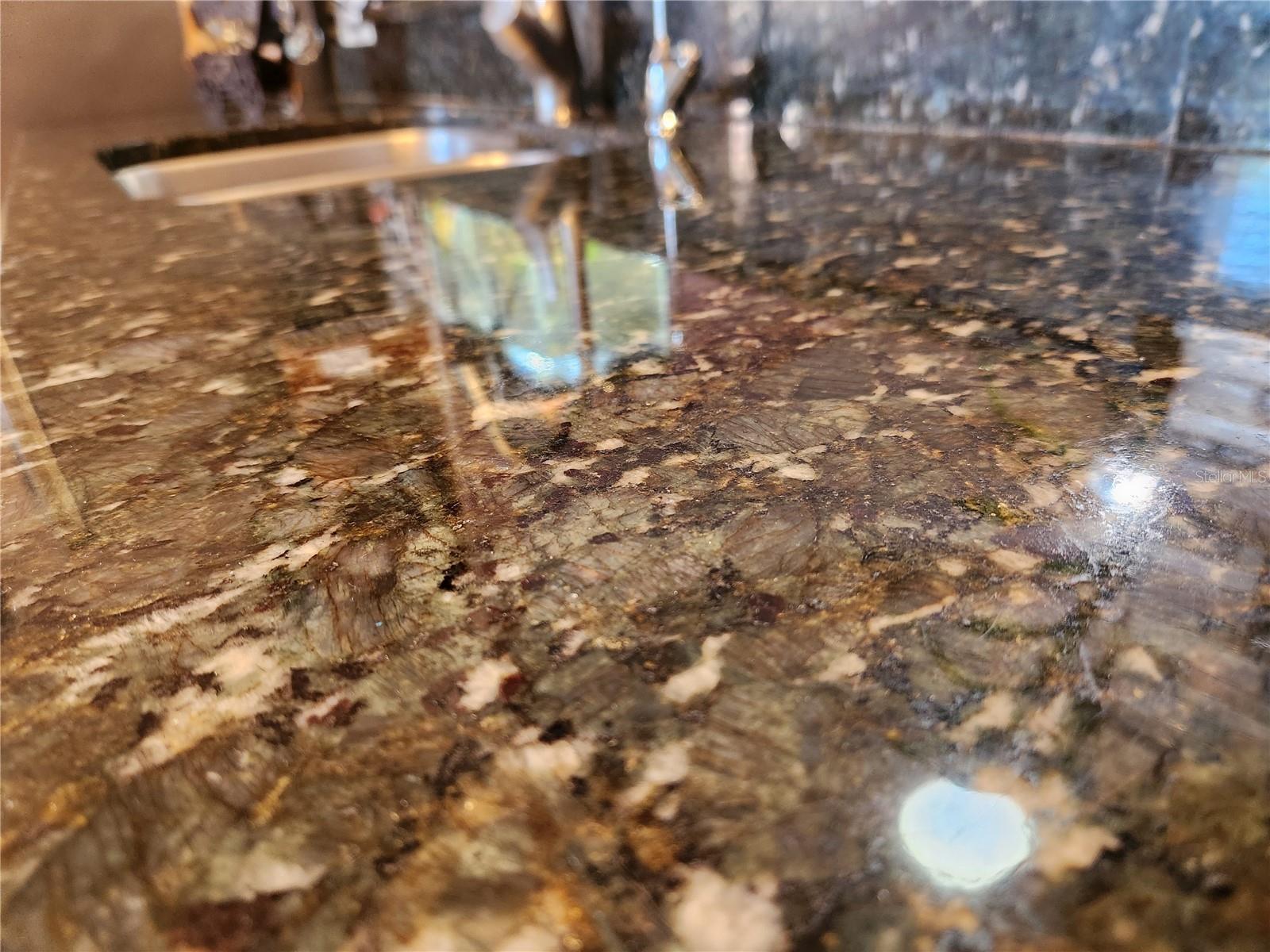 1789 ELM DR, VENICE, FL, 34293