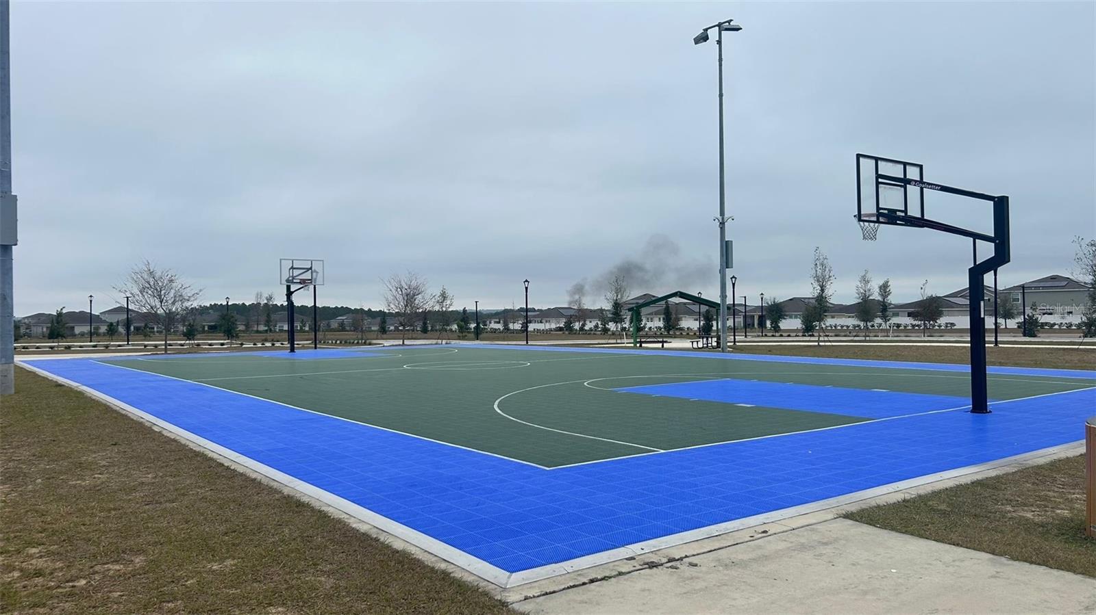 913 LAUREL VIEW WAY, GROVELAND, FL, 34736