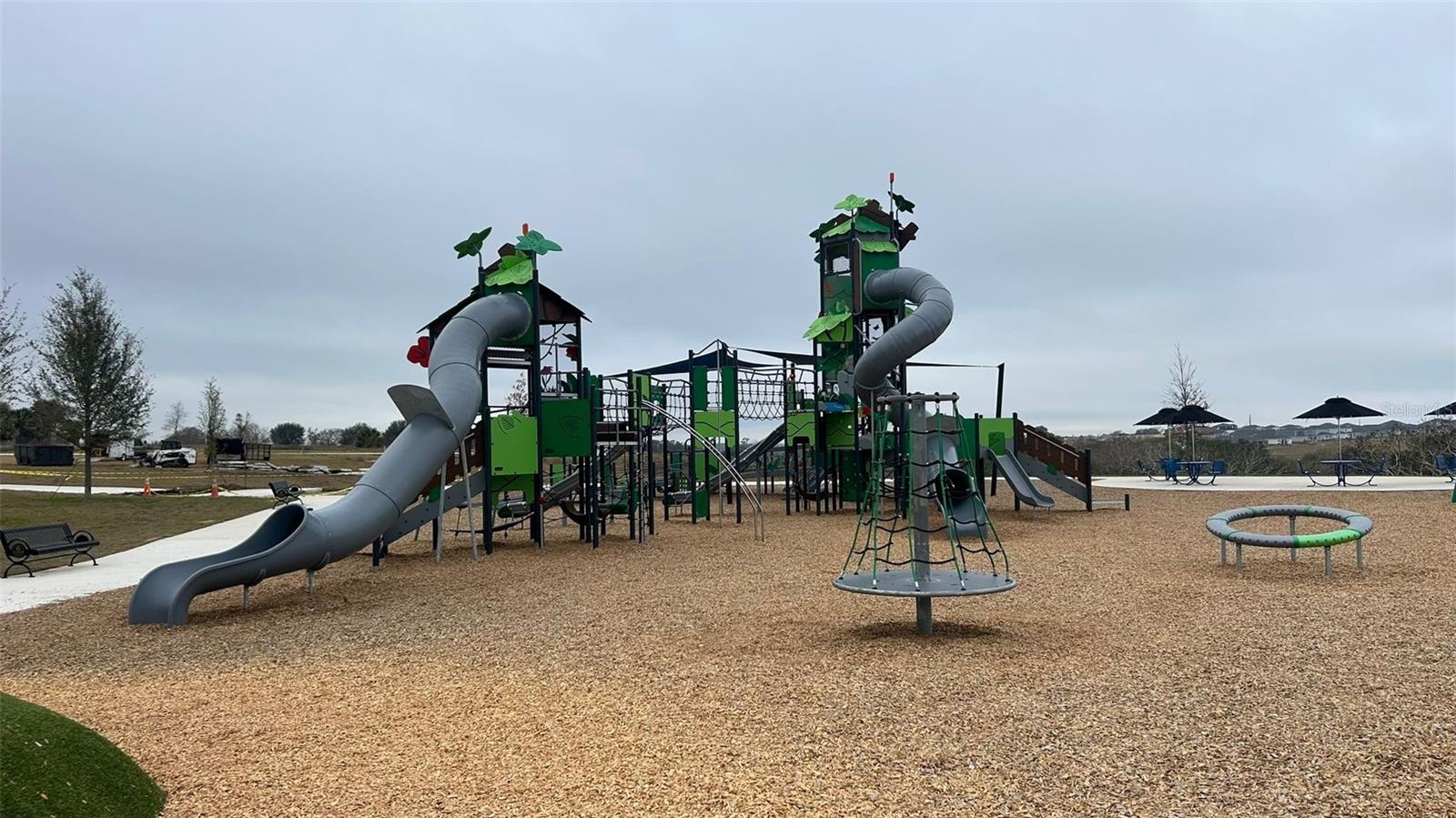 913 LAUREL VIEW WAY, GROVELAND, FL, 34736