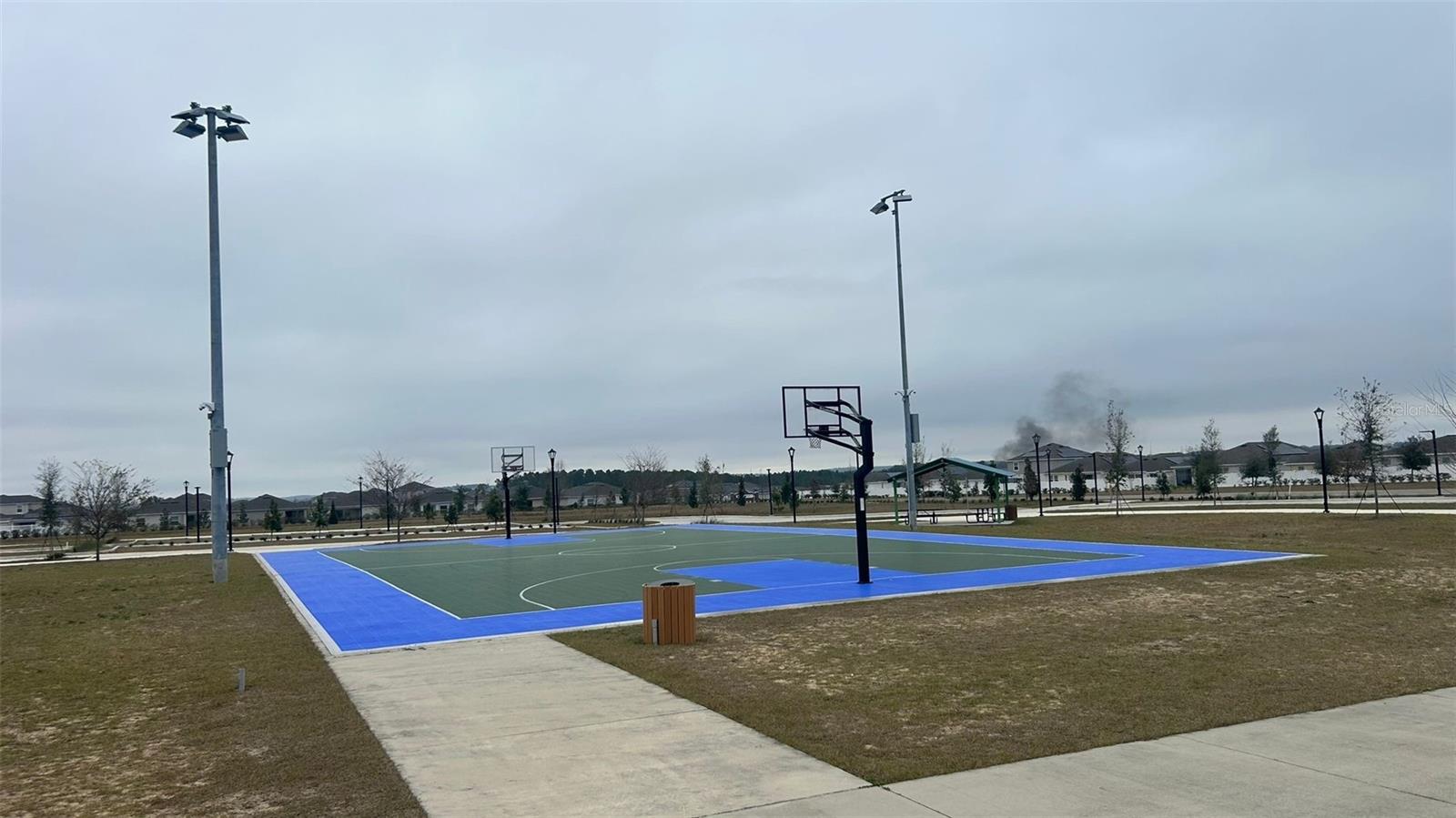 913 LAUREL VIEW WAY, GROVELAND, FL, 34736