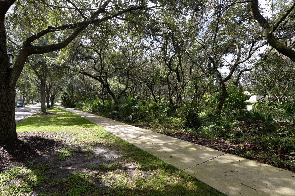 854 SPRING PARK LOOP, CELEBRATION, FL, 34747