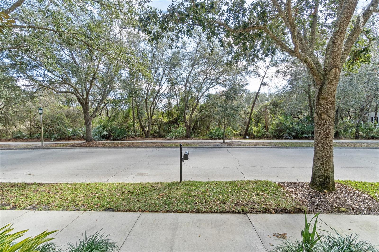 854 SPRING PARK LOOP, CELEBRATION, FL, 34747