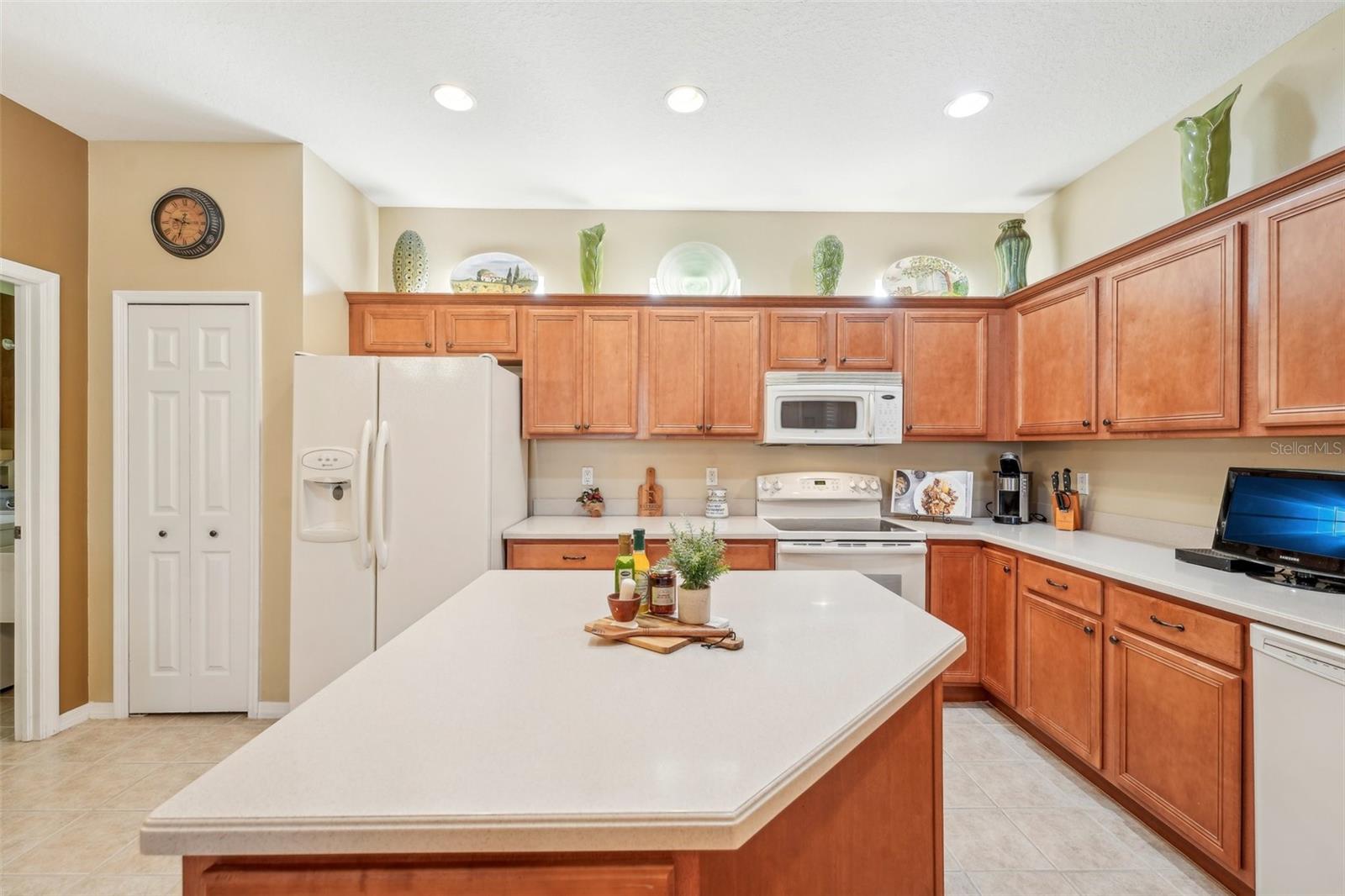 21042 DIAMONTE DR, LAND O LAKES, FL, 34637