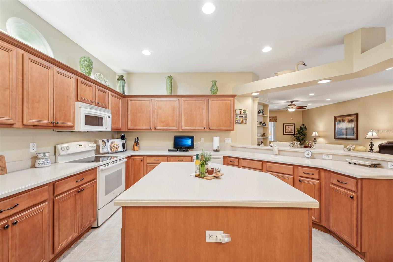 21042 DIAMONTE DR, LAND O LAKES, FL, 34637