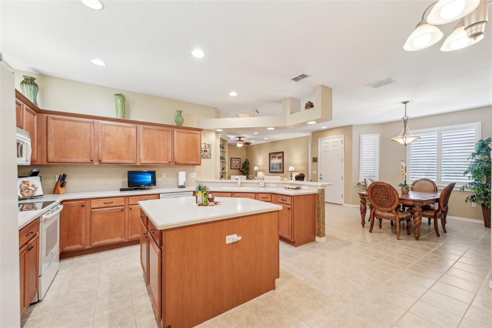 21042 DIAMONTE DR, LAND O LAKES, FL, 34637