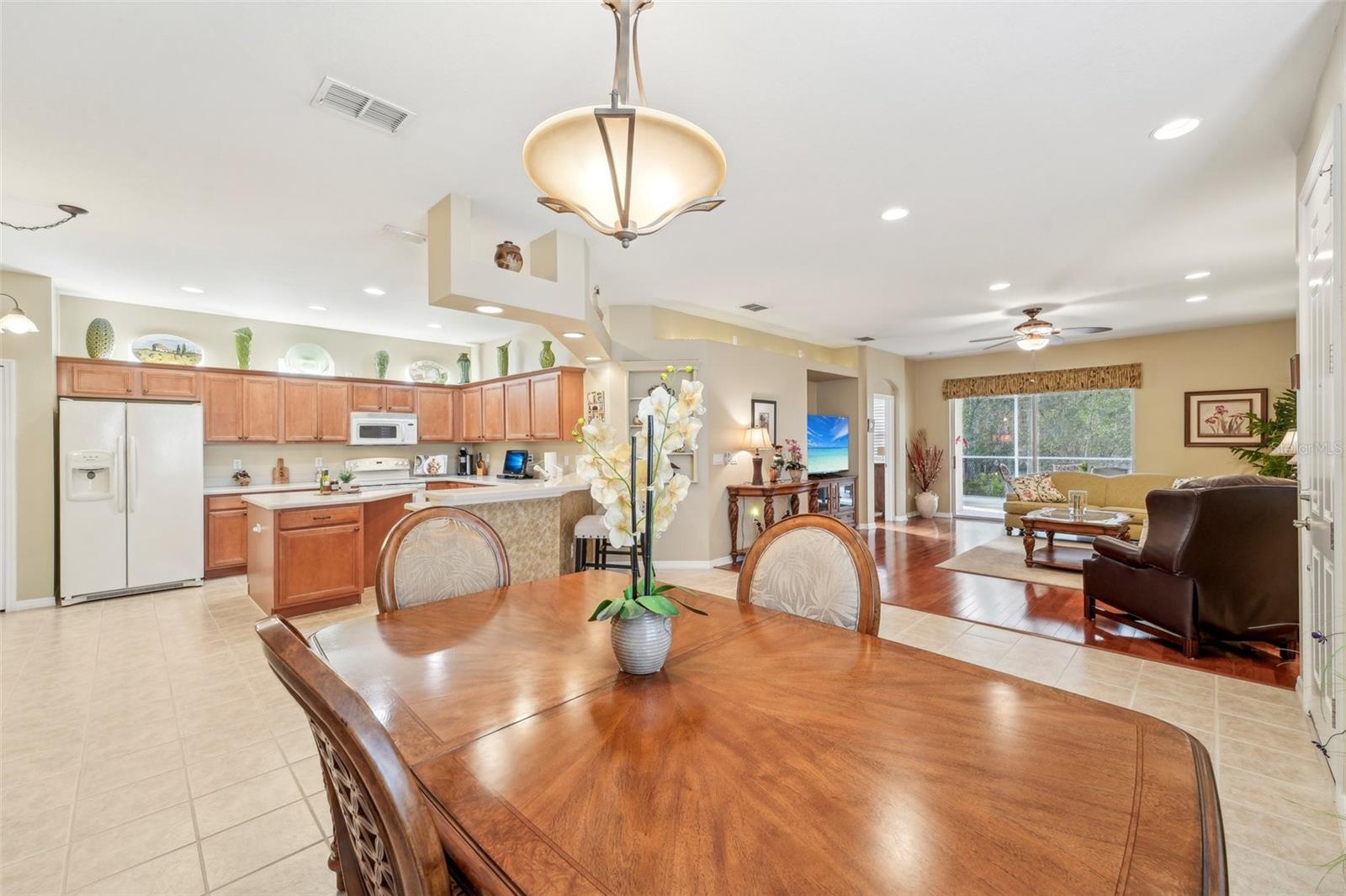21042 DIAMONTE DR, LAND O LAKES, FL, 34637
