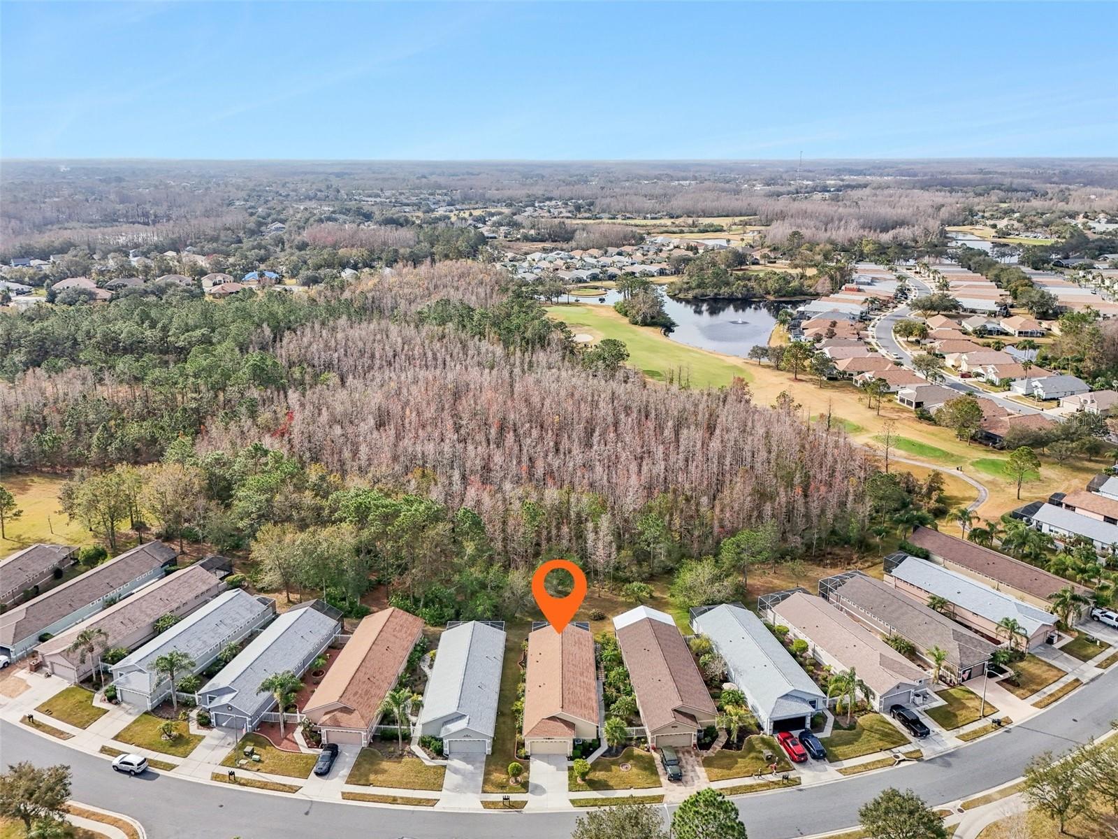 21042 DIAMONTE DR, LAND O LAKES, FL, 34637