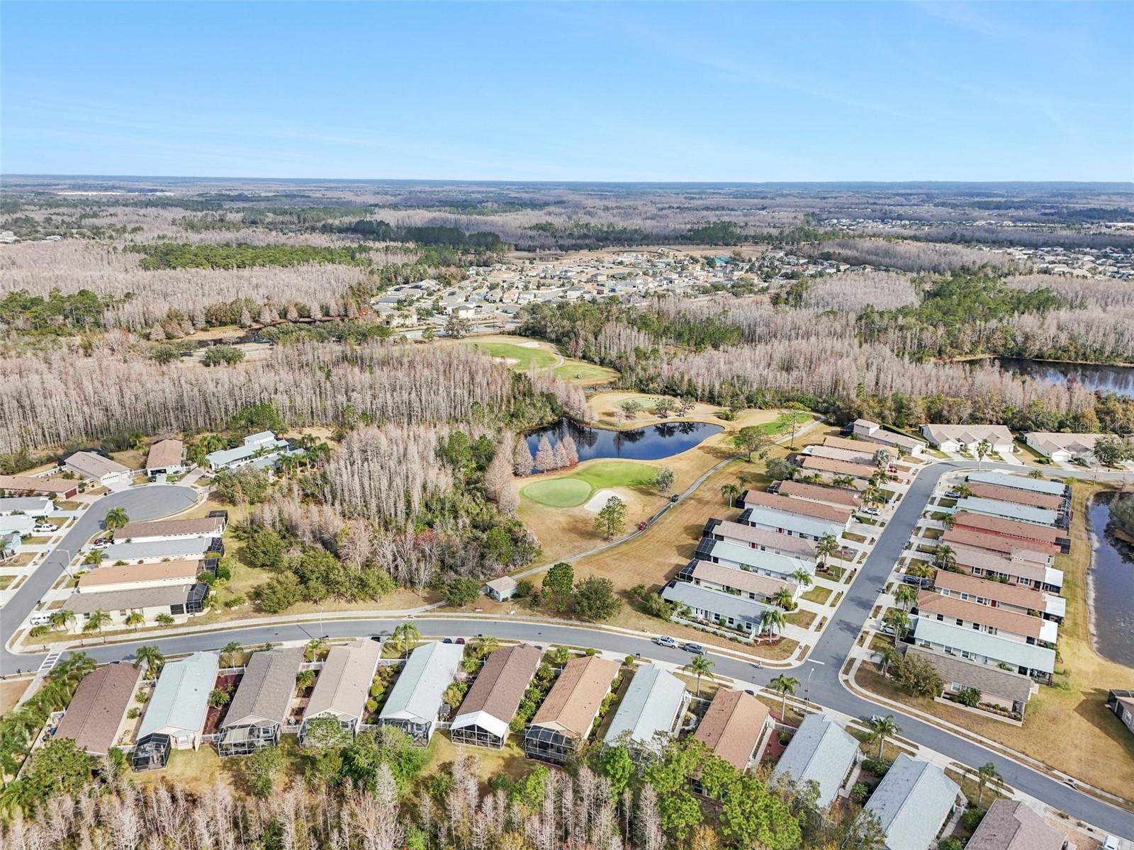 21042 DIAMONTE DR, LAND O LAKES, FL, 34637