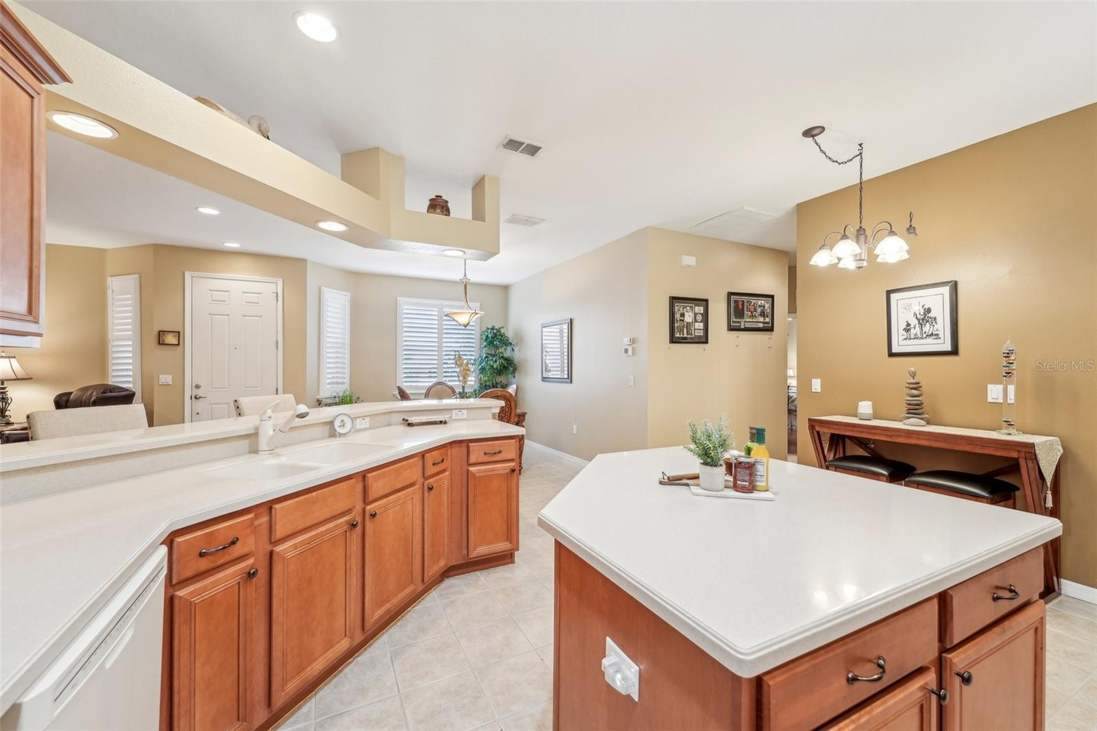 21042 DIAMONTE DR, LAND O LAKES, FL, 34637