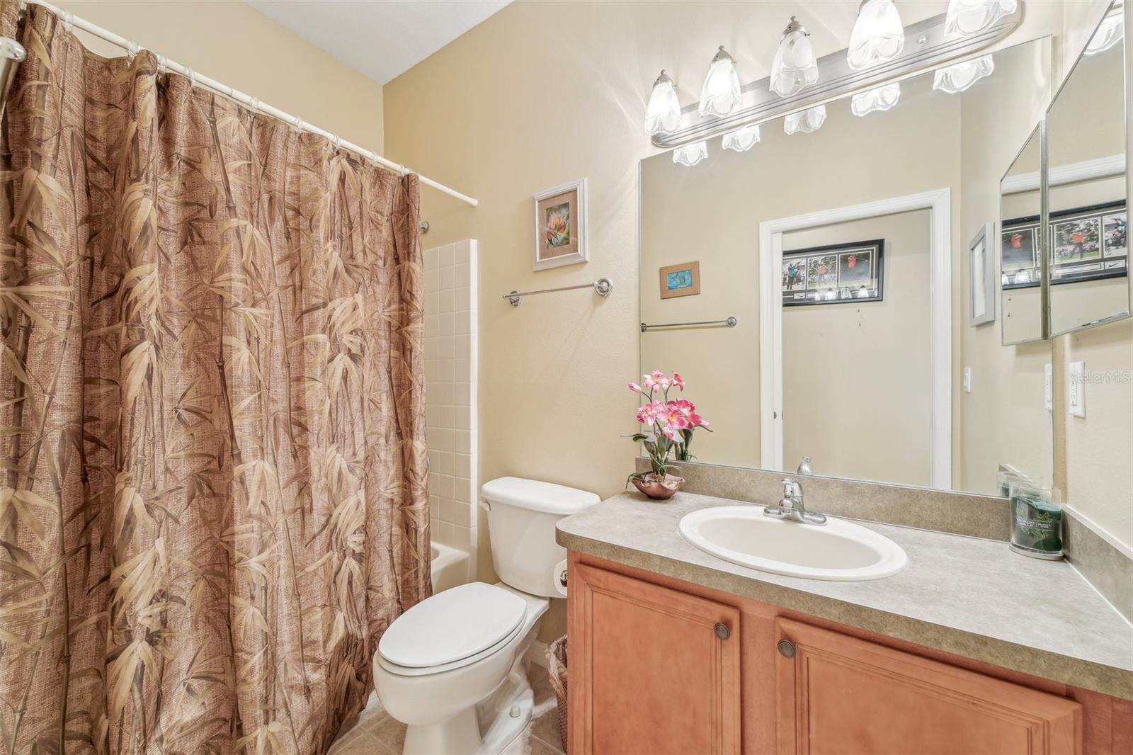 21042 DIAMONTE DR, LAND O LAKES, FL, 34637
