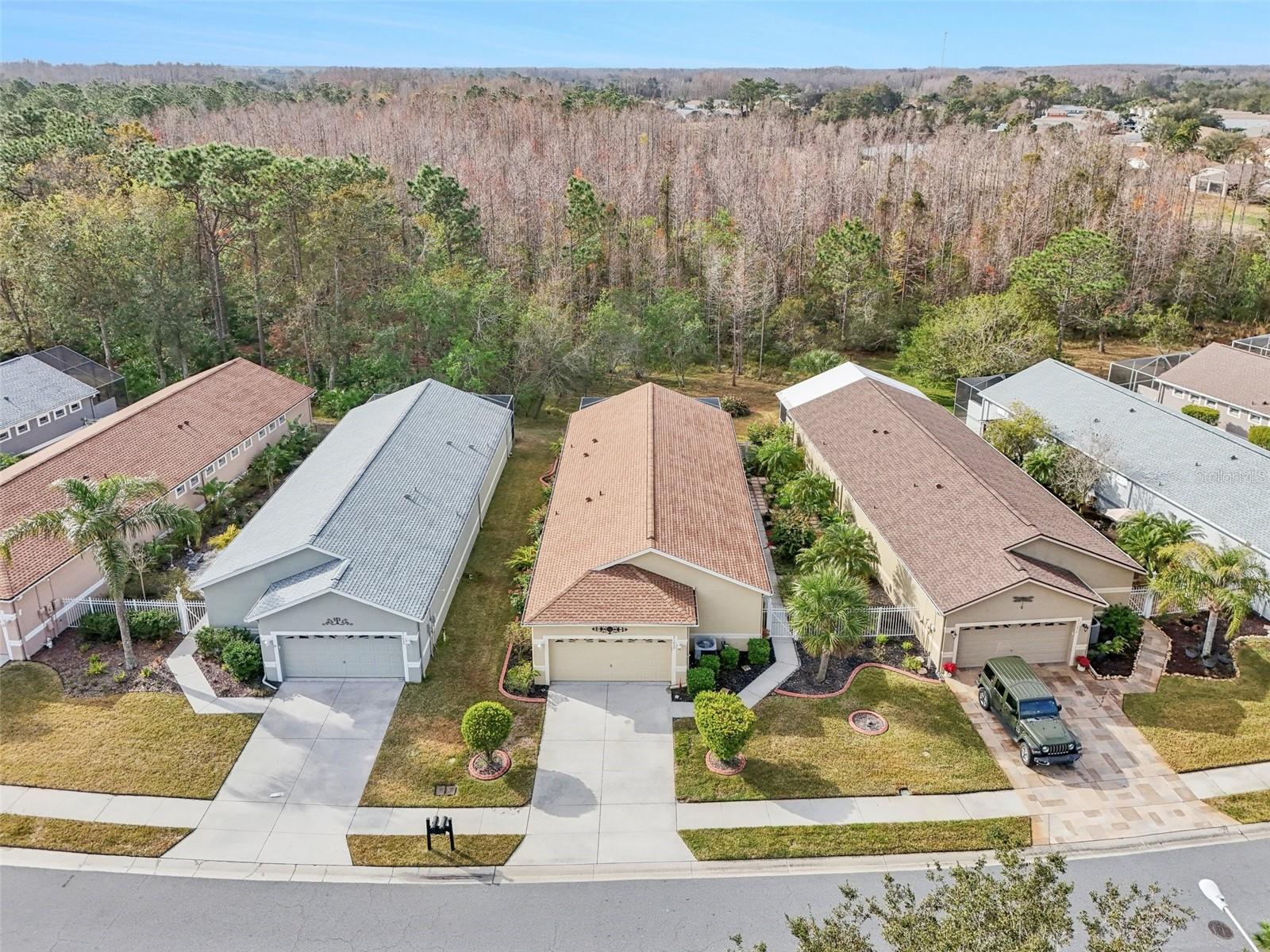 21042 DIAMONTE DR, LAND O LAKES, FL, 34637