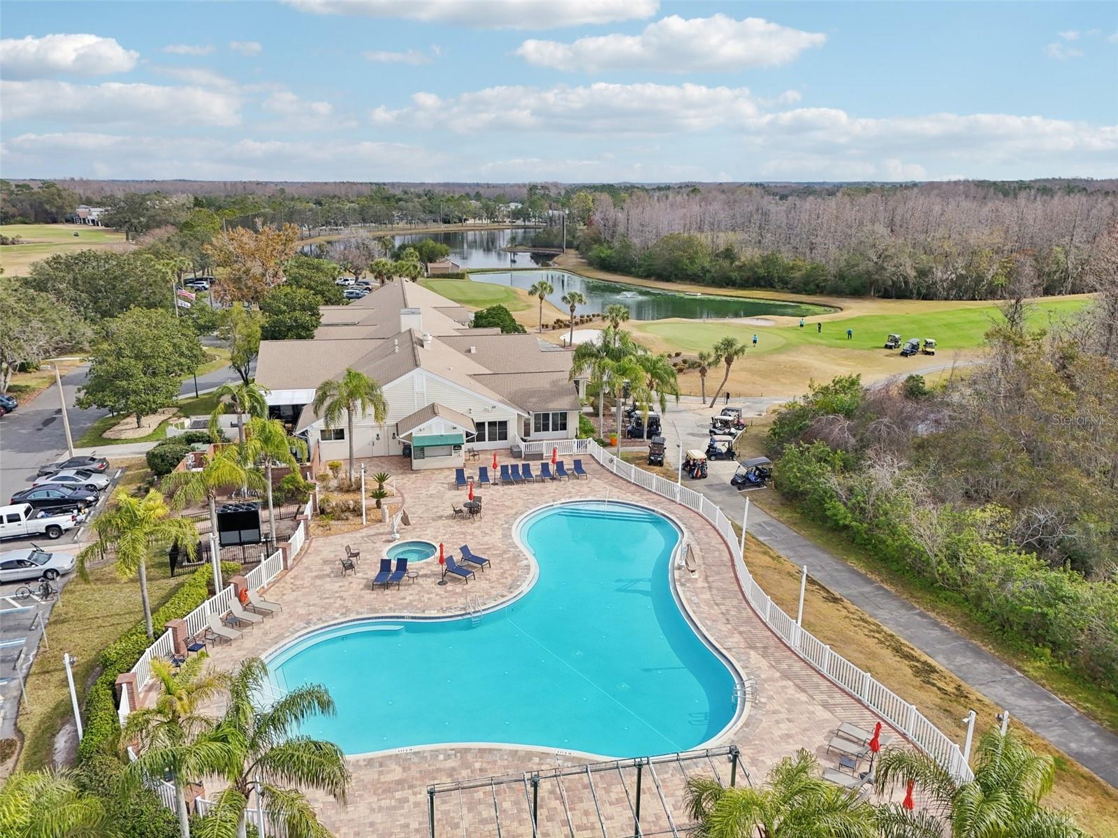 21042 DIAMONTE DR, LAND O LAKES, FL, 34637