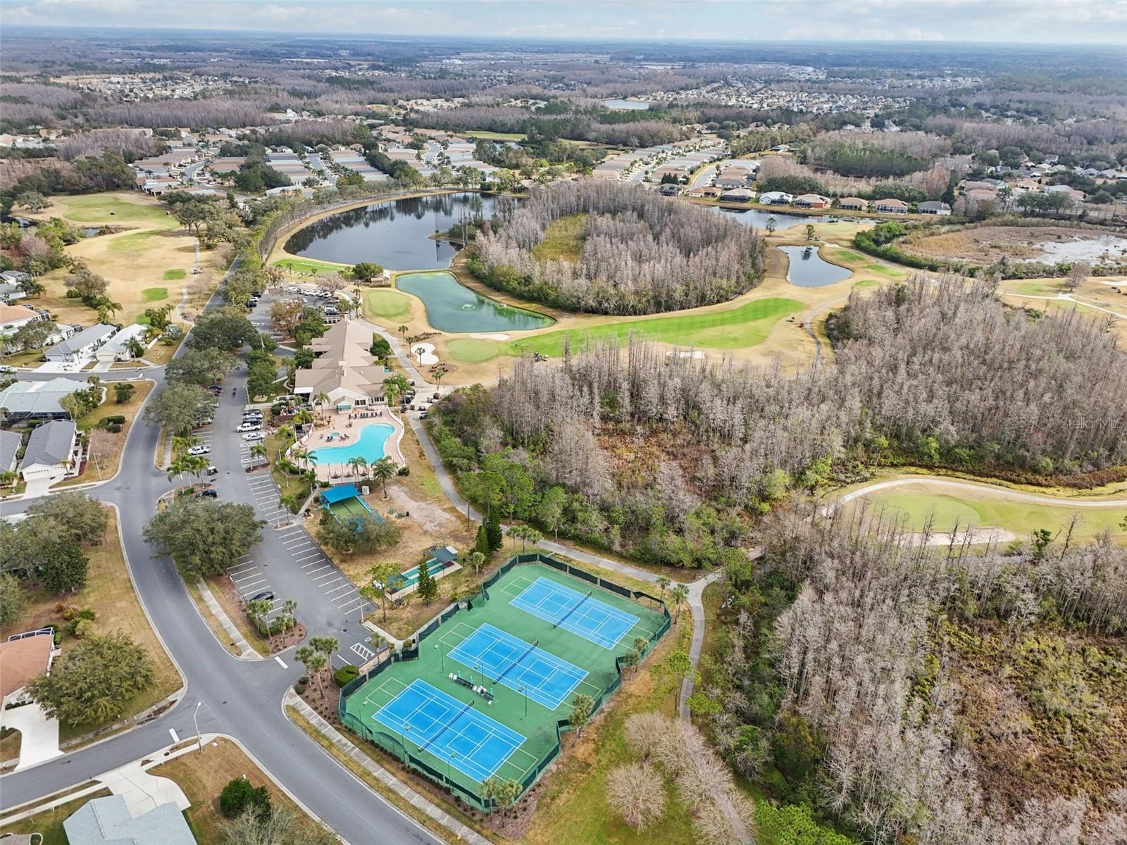 21042 DIAMONTE DR, LAND O LAKES, FL, 34637