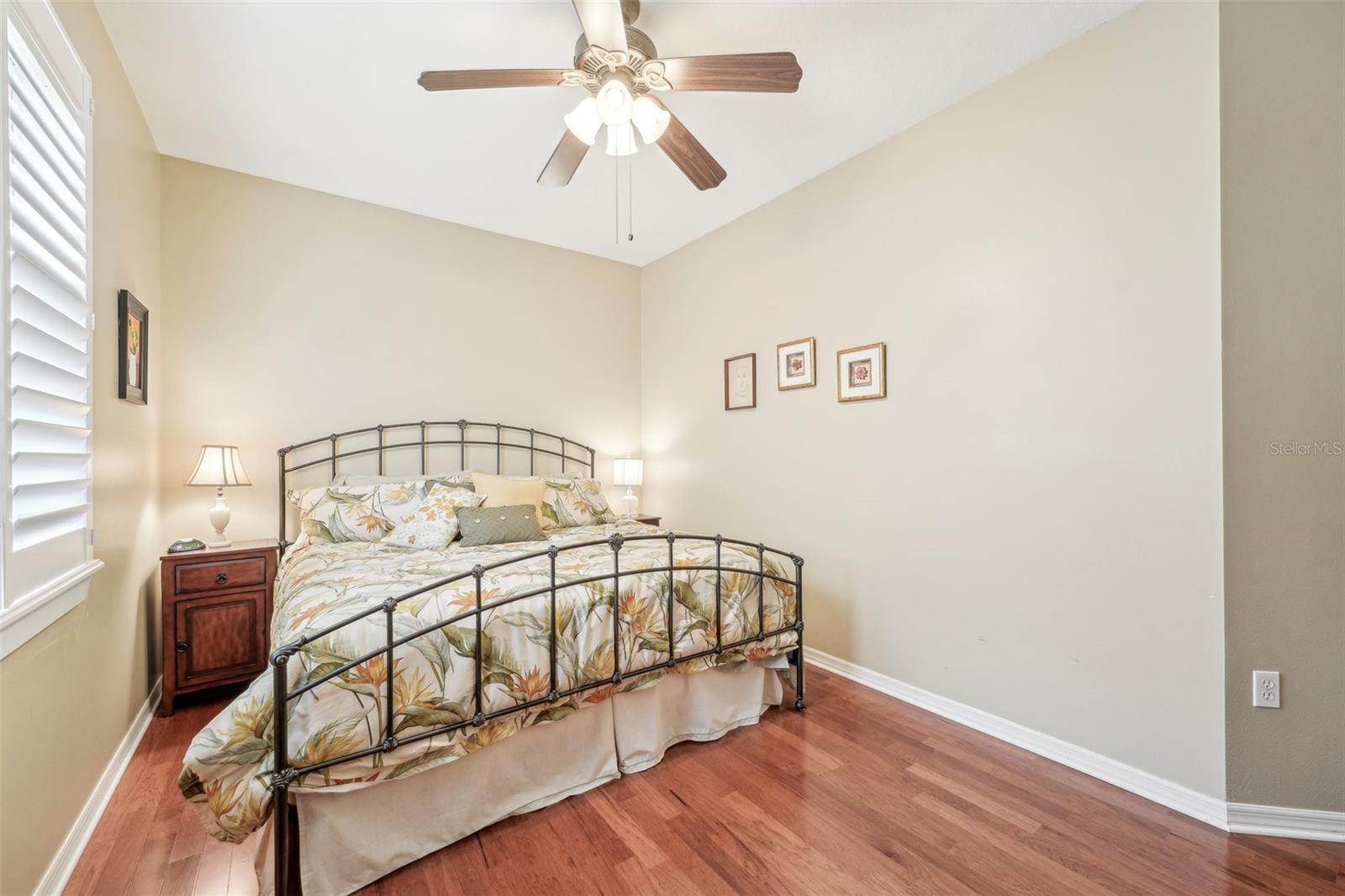 21042 DIAMONTE DR, LAND O LAKES, FL, 34637