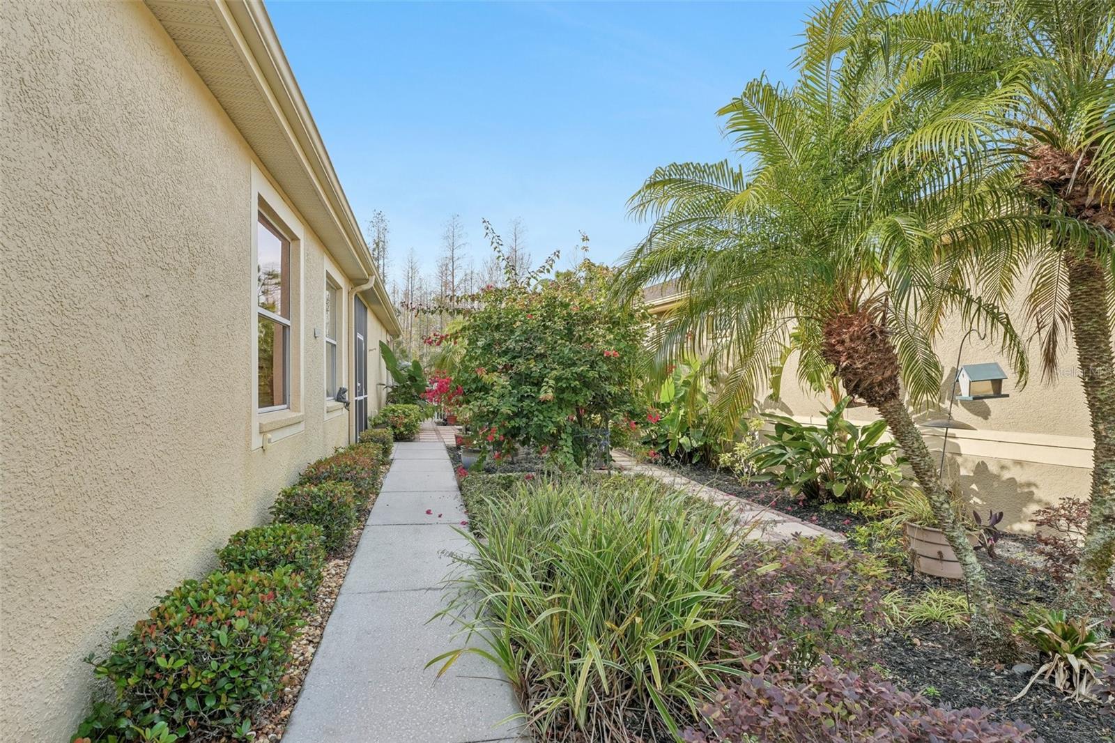 21042 DIAMONTE DR, LAND O LAKES, FL, 34637