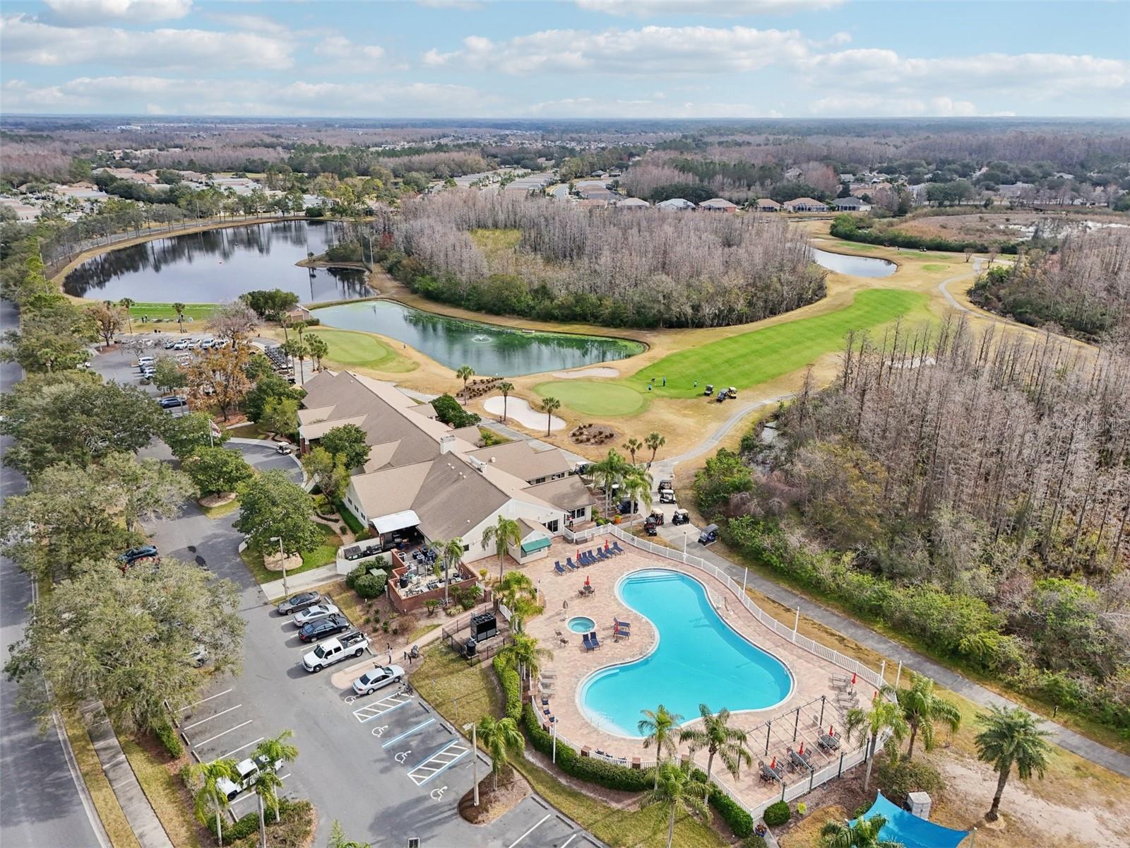 21042 DIAMONTE DR, LAND O LAKES, FL, 34637