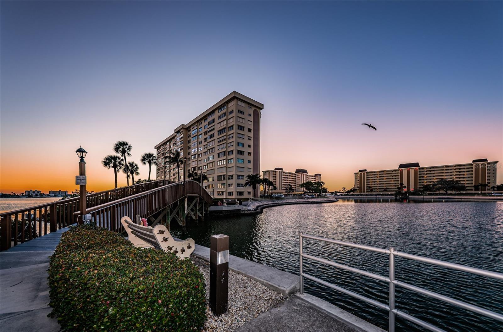 4550 COVE CIR #804, ST PETERSBURG, FL, 33708