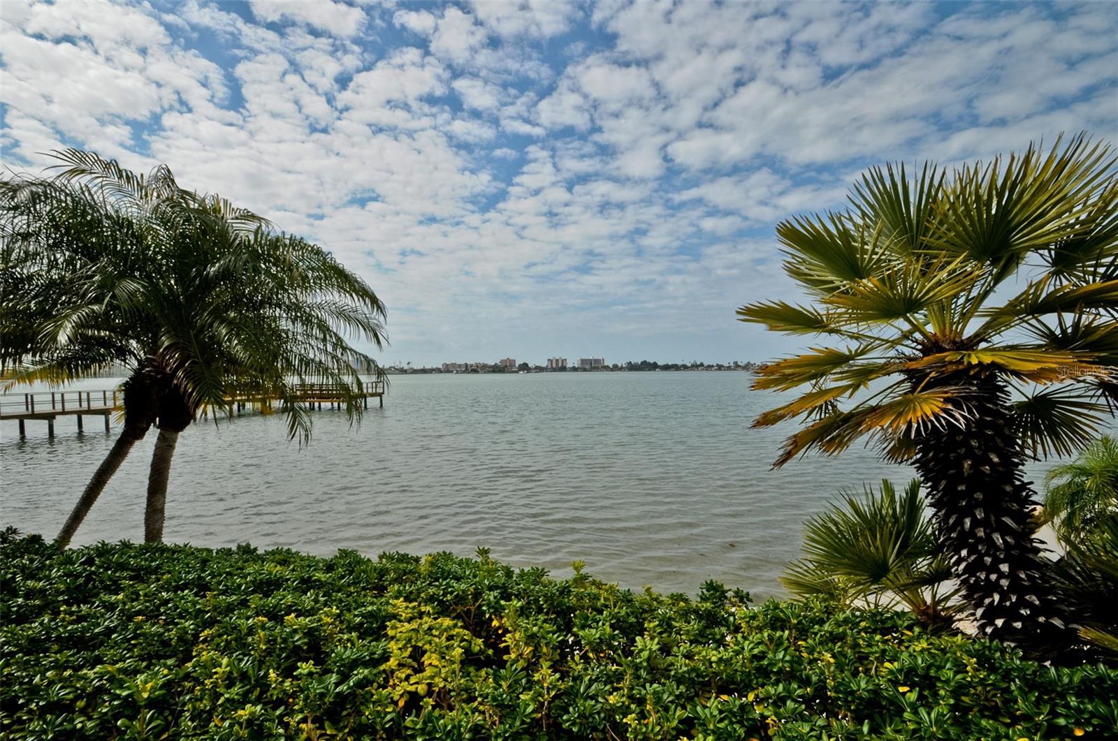 4550 COVE CIR #804, ST PETERSBURG, FL, 33708
