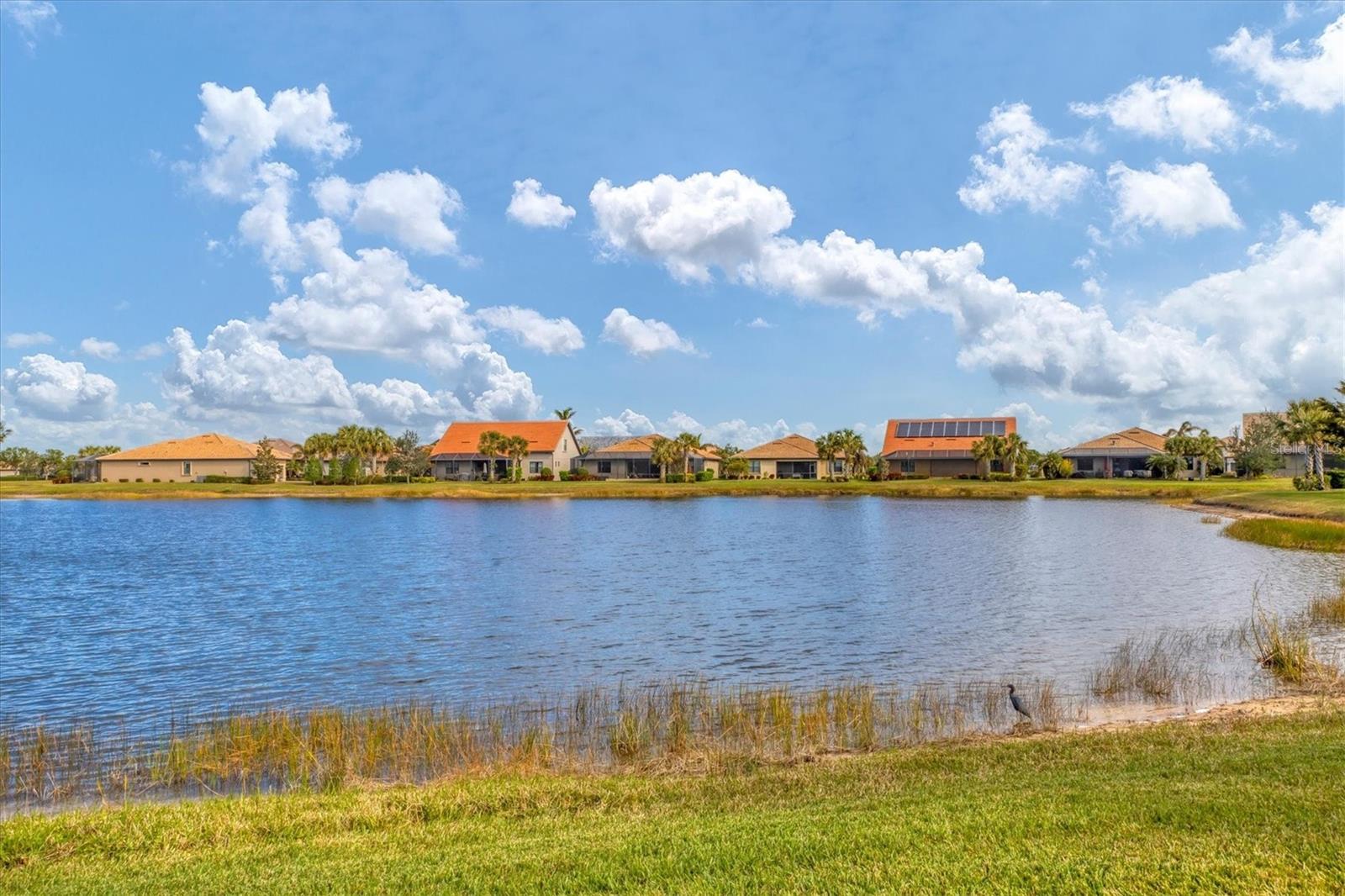 13334 PACCHIO ST, VENICE, FL, 34293