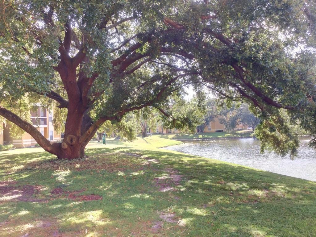 5275 IMAGES CIR #104, KISSIMMEE, FL, 34746