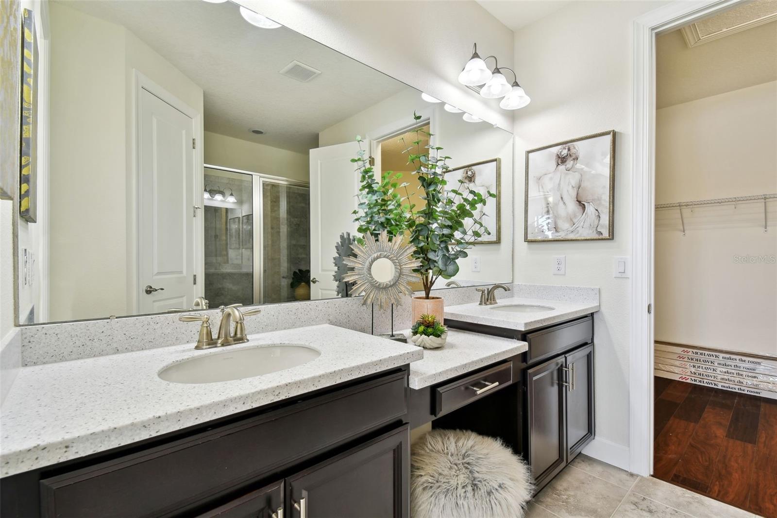 20109 SORANO HILL PL, TAMPA, FL, 33647