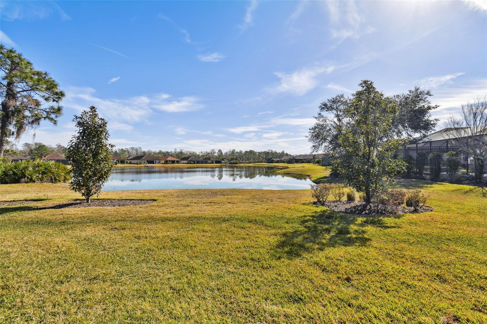 20109 SORANO HILL PL, TAMPA, FL, 33647