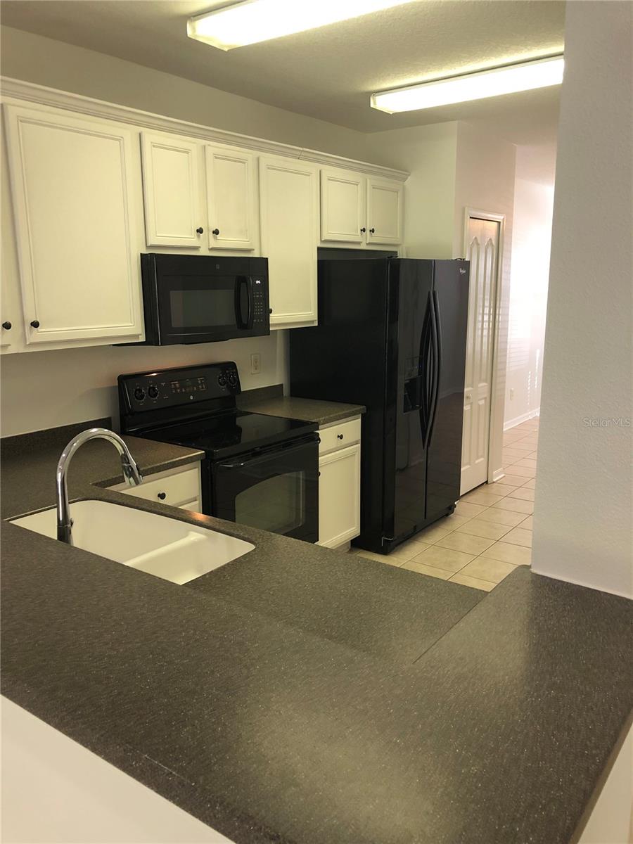 15854 FISHHAWK VIEW DR, LITHIA, FL, 33547