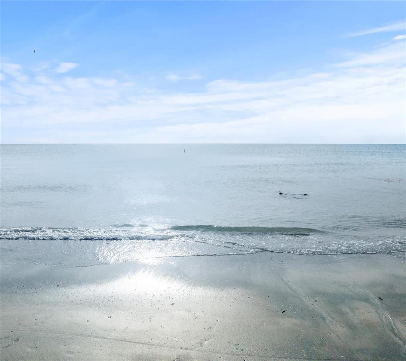 2504 GULF BLVD #308, INDIAN ROCKS BEACH, FL, 33785