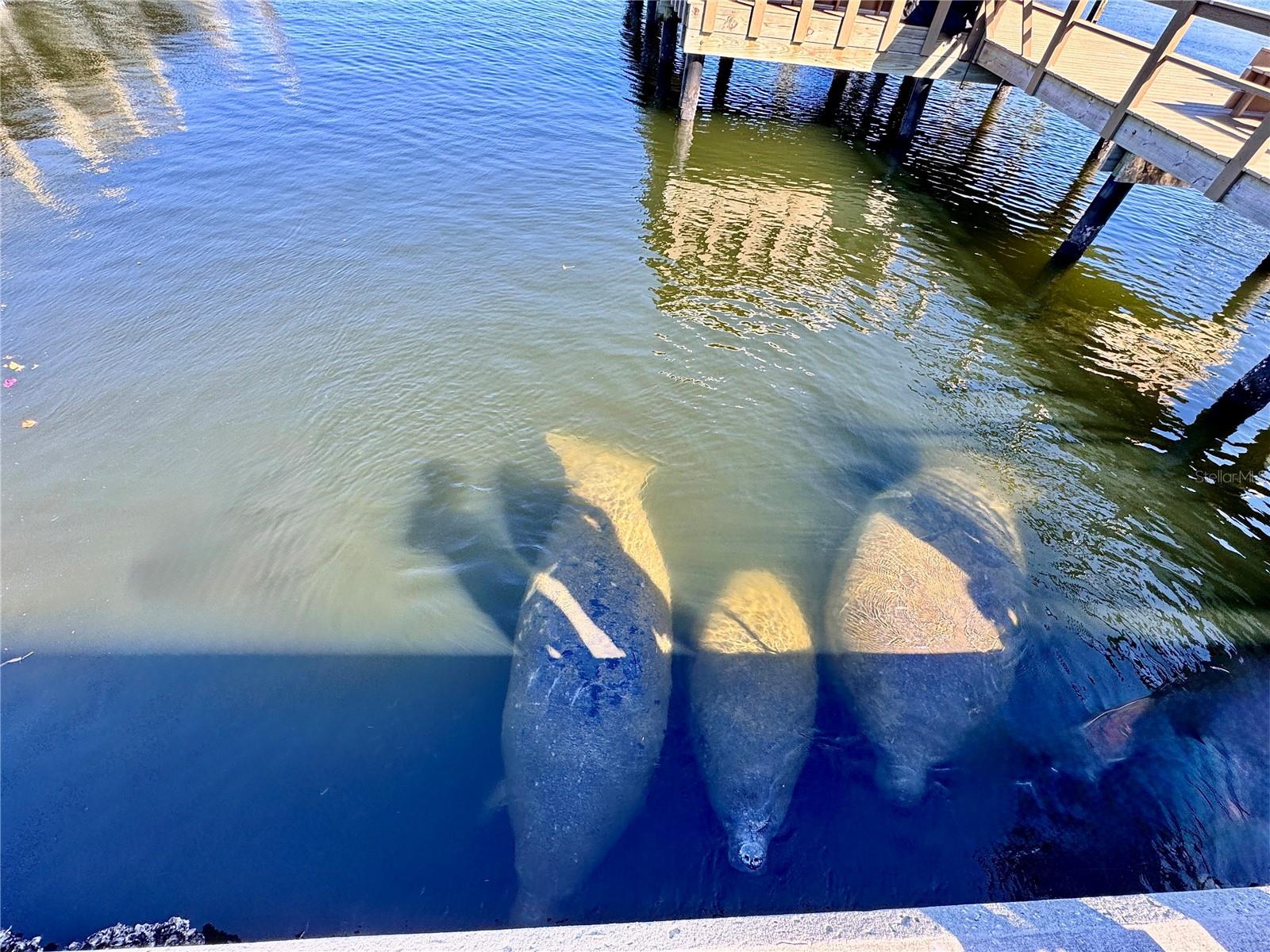 136 26TH AVE NE, ST PETERSBURG, FL, 33704