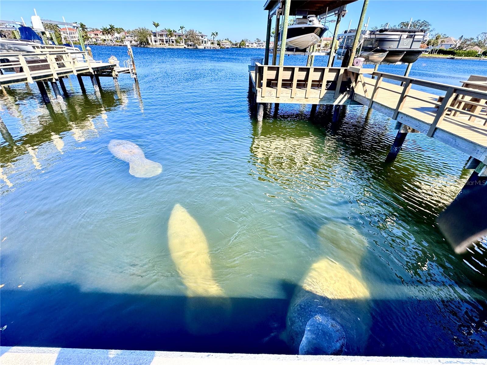 136 26TH AVE NE, ST PETERSBURG, FL, 33704